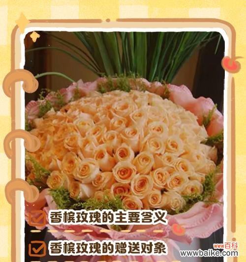 香槟颜色玫瑰花的寓意?