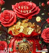 财富祝福寓意的花有哪些？