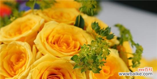 以黄玫瑰为媒 黄玫瑰花语