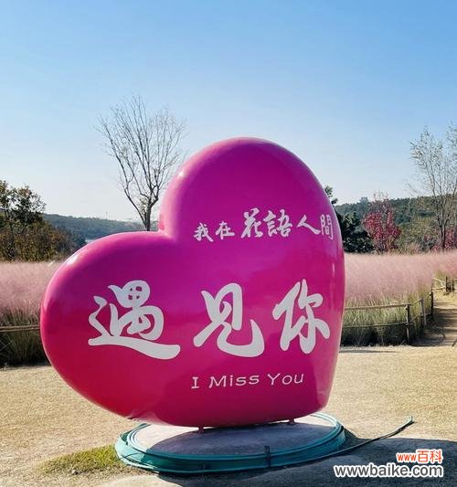 甜蜜粉黛花语含义是什么?如何理解甜蜜粉黛的花语?