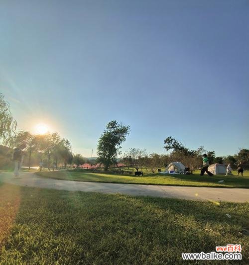 甜蜜粉黛花语含义是什么?如何理解甜蜜粉黛的花语?