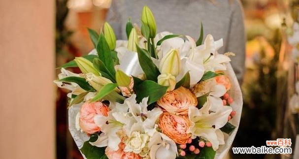 送长辈百合花代表什么含义?百合花象征长辈的什么?