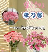 母亲节象征性的花是哪一种？