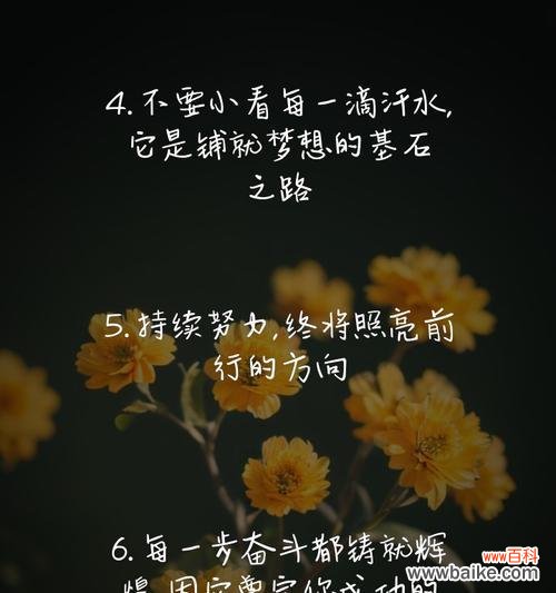 等待成功的花语是什么?哪种花代表了坚持与希望?