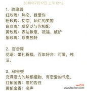 秘密花语的颜色是什么？颜色在花语中代表什么？