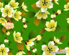 绿色中带白色花的寓意是什么？它象征着什么？