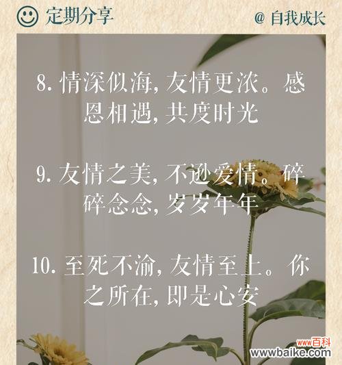 哪种花寓意友情胜过爱情？友情花的含义是什么？