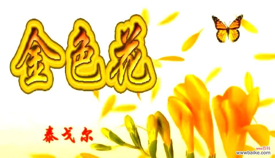 金色花有什么深刻的含义?如何选择金色花作为礼物?