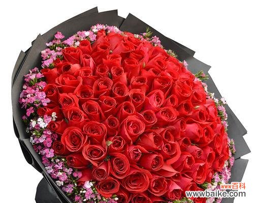 情人节送什么花最能表达爱意?哪种花象征着情人节?