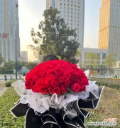 红色花束的玫瑰花寓意何在？送红色玫瑰花代表什么？