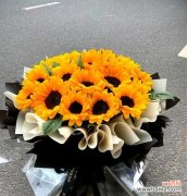 那些花的花语象征爱情是什么？