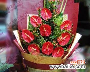 用花传递真挚友谊 用花代表友谊的生日礼物选择