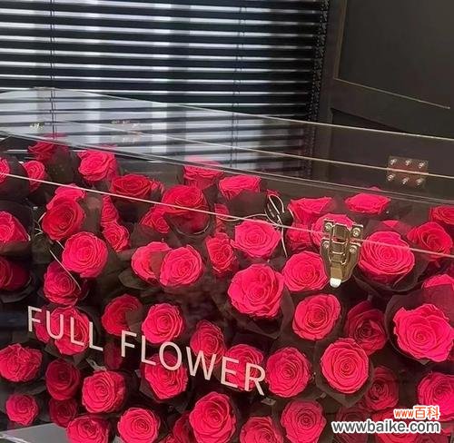 手捧花丝带永生花代表什么？永生花的寓意和象征是什么？