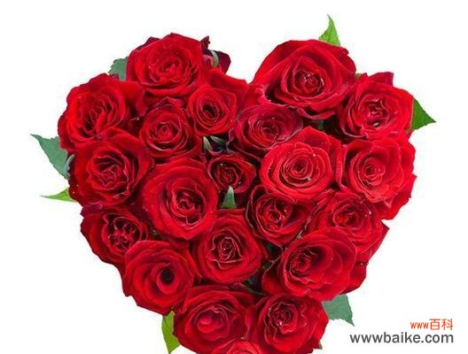 探寻玫瑰花的七重含义 七朵玫瑰代表的意义