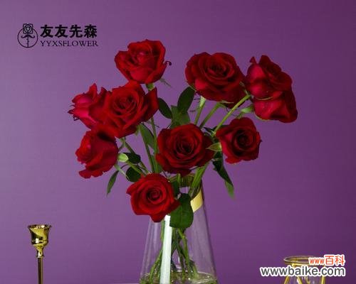 传递爱意 七夕送老婆花的意义与选择