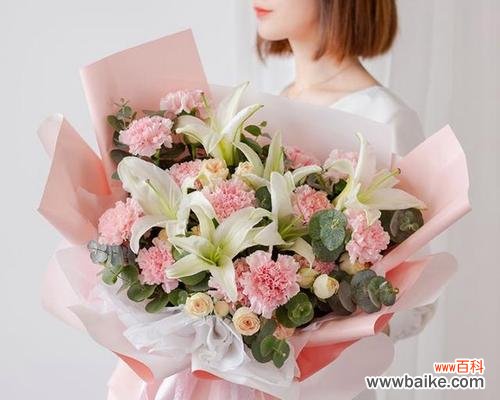 发掘康乃馨的风水之美 康乃馨的风水寓意和摆放位置