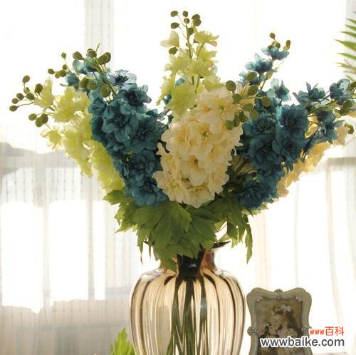 探寻康乃馨所代表的意义和风水影响 康乃馨的象征与风水之谜