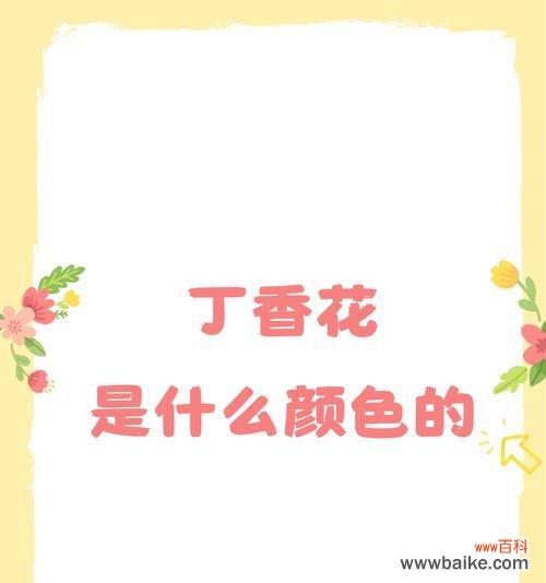 不同颜色的花各代表什么？花的颜色含义有哪些？