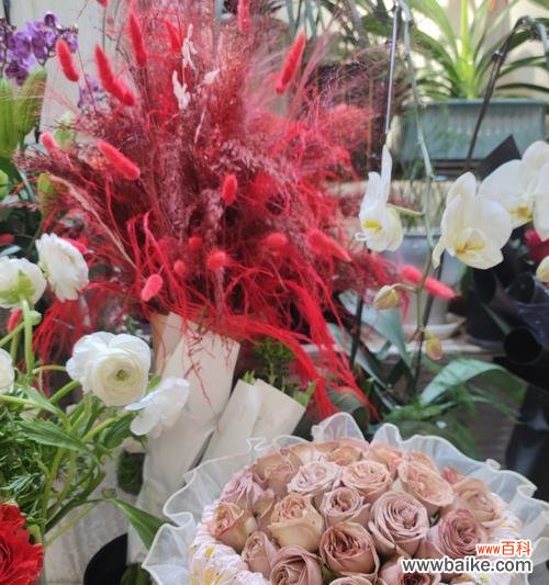 哪种花象征着幸福?