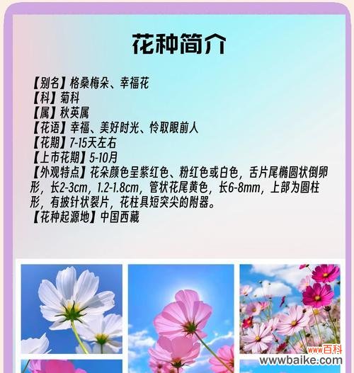 哪种花的花语是幸福保障？