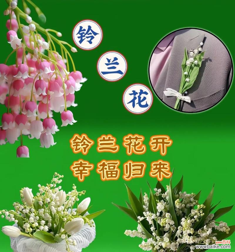 哪种花的花语是幸福保障？