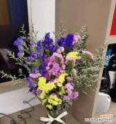 以勿忘我为暗示的深意与启示 勿忘我，永恒的回忆