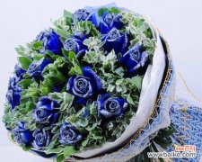 蓝色妖姬-花语意义与寓意解读 蓝色妖姬的花语