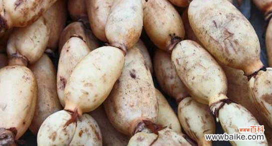 揭秘莲藕的象征意义及其在风水中的应用 莲藕风水之福富吉祥