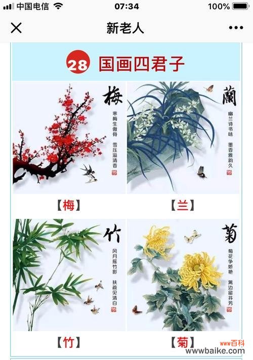 揭秘莲藕的象征意义及其在风水中的应用 莲藕风水之福富吉祥