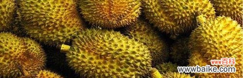 探寻榴莲的独特象征意义 榴莲