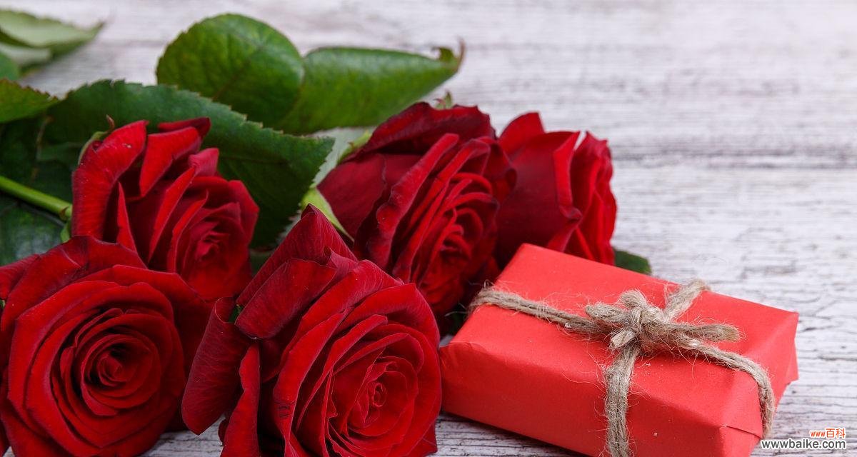 玫瑰花的五重象征 五朵玫瑰花的深意