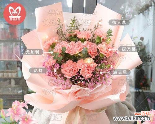 了解康乃馨花语 康乃馨花语揭示的情感和寓意