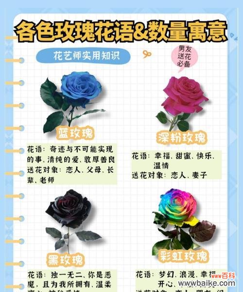 解读19朵玫瑰的象征与寓意 19朵玫瑰的神秘意义