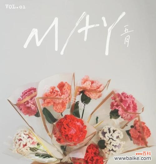 探索康乃馨背后的神秘力量 康乃馨花的象征意义与美丽之源