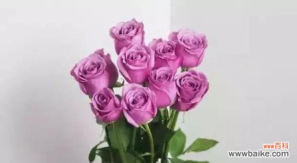 用花语传达爱意 十大浪漫花语