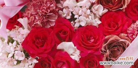 玫瑰花传递的情感与祝福 十二朵玫瑰花的意义与象征