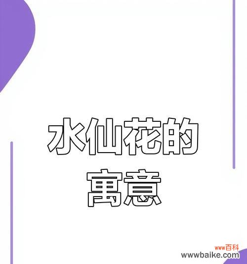 探索水仙花的神秘寓意与美丽 水仙花的含义与象征