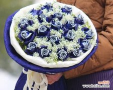 探寻蓝玫瑰背后的神秘之美 十一朵蓝玫瑰的象征意义
