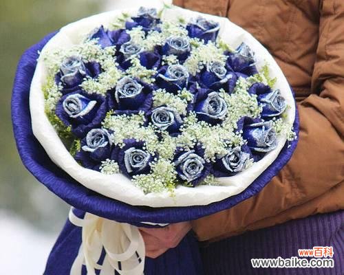 探寻蓝玫瑰背后的神秘之美 十一朵蓝玫瑰的象征意义