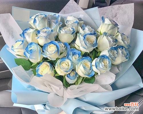 透过冰块的光芒 碎冰蓝——冰冷中的温暖