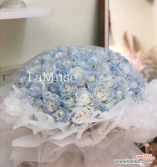 透过冰块的光芒 碎冰蓝——冰冷中的温暖