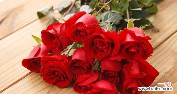 探索玫瑰花背后的情感世界 玫瑰花的花语与寓意