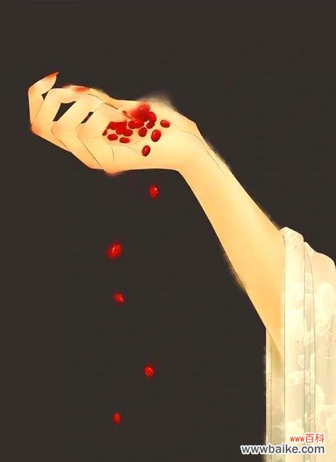 红豆的美丽与坚韧 红豆爱情的寓意与象征意义