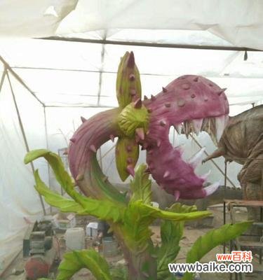 揭示食人花的象征意义与神秘力量 探秘食人花的花语之谜