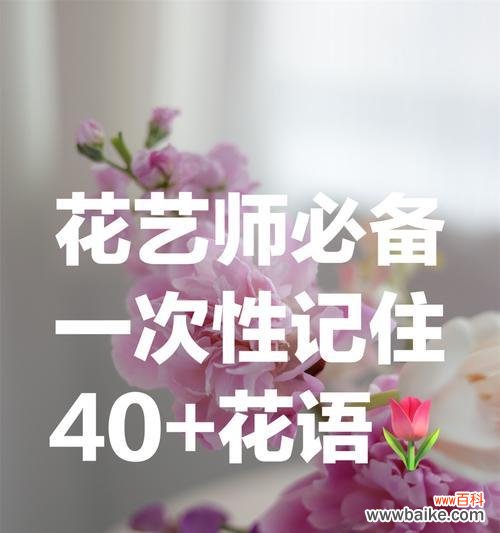 用玫瑰传递爱与情感 玫瑰花的花语与意义