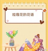 用花语传递爱意 深情表达