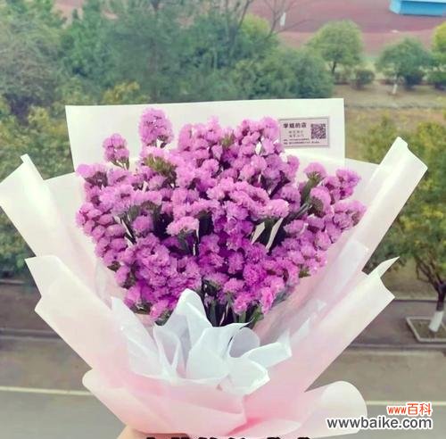 勿忘我 永恒花开，情谊不忘