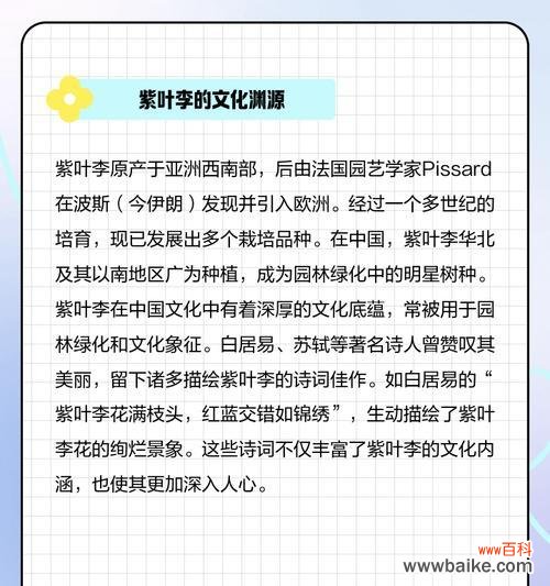 揭示红叶李所传达的深意 红叶李的花语与意义