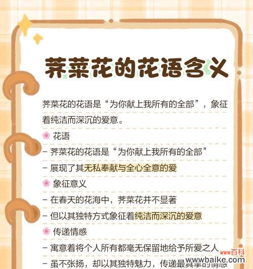 唤起内心纯洁的情感 无私的爱——以白色百合的花语为主题