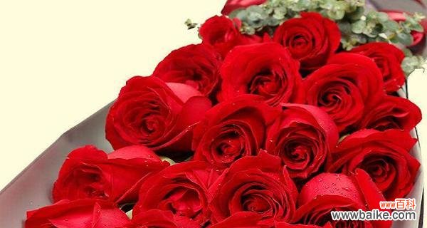 探索每一朵花的寓意 十九朵玫瑰花的花语与意义